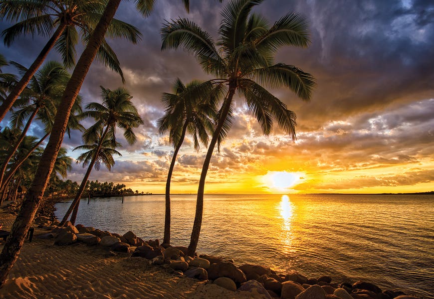 Palm Trees And Sunset by Ben Mulder