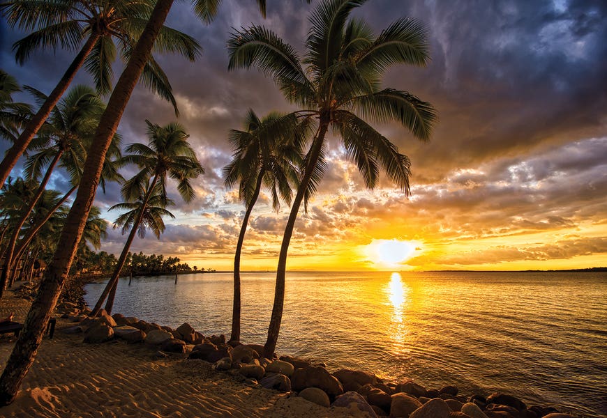 Palm Trees And Sunset by Ben Mulder