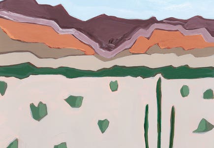 Southwest Decor