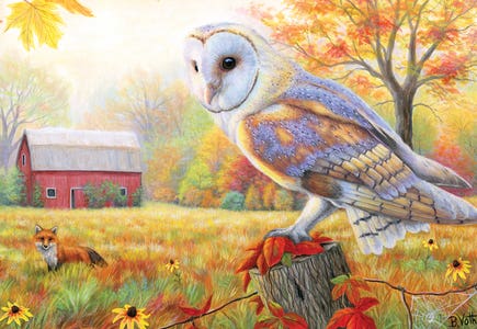 Birds