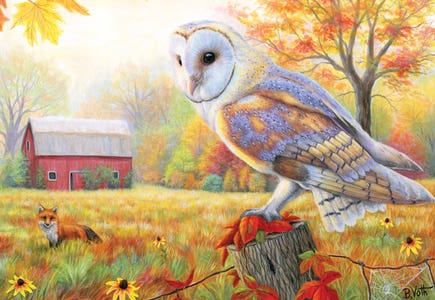 Birds