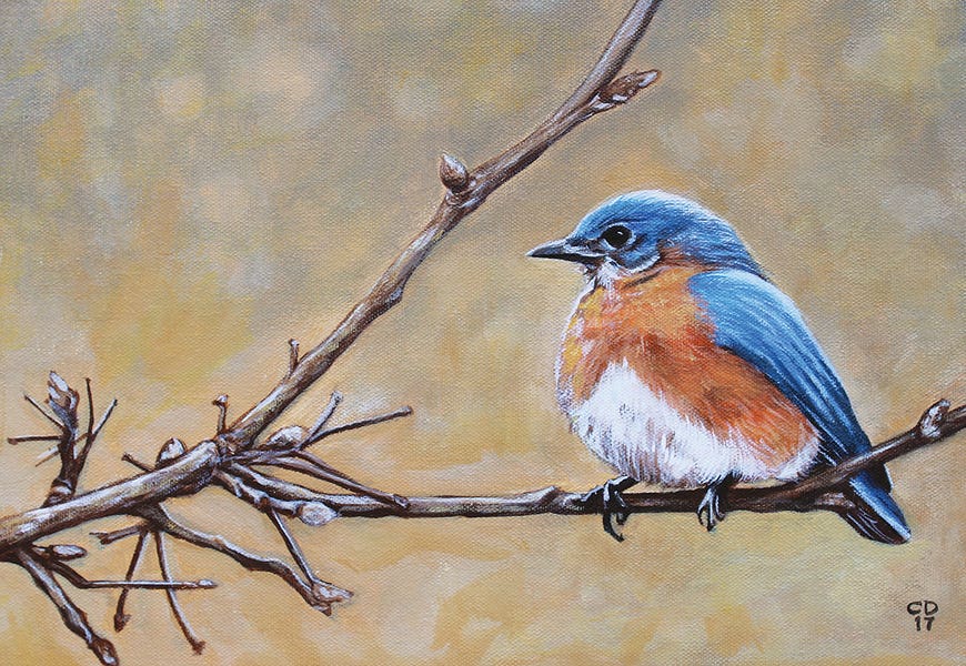 Bluebird by Cyndi Dodes