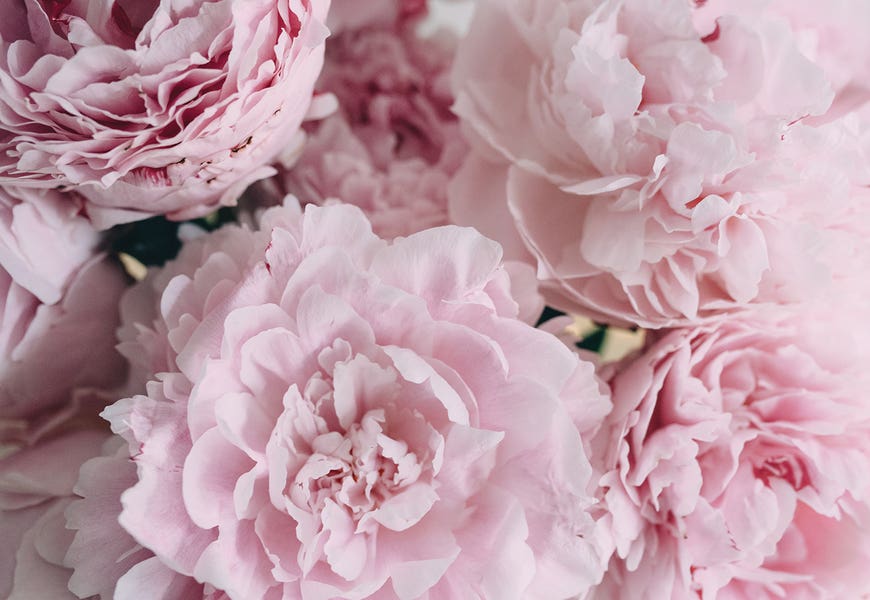 Pink Peonies Top by Chelsea Victoria