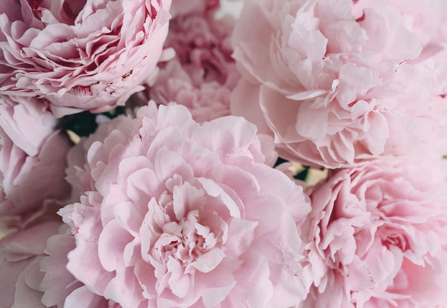 Pink Peonies Top by Chelsea Victoria 
