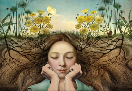 Catrin Welz-Stein