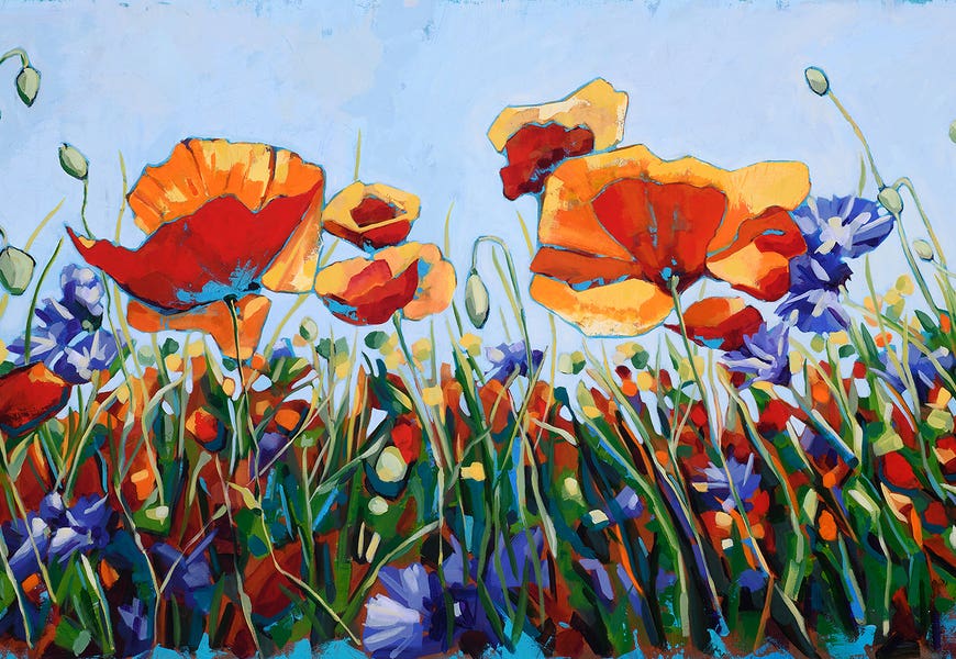 Orange Poppies In Meadow by Cindy Kaufman