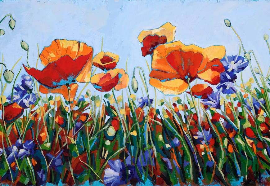 Orange Poppies In Meadow by Cindy Kaufman