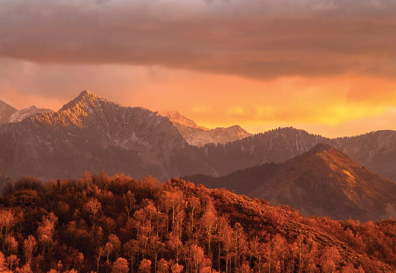 Layered Landscapes feature Collections