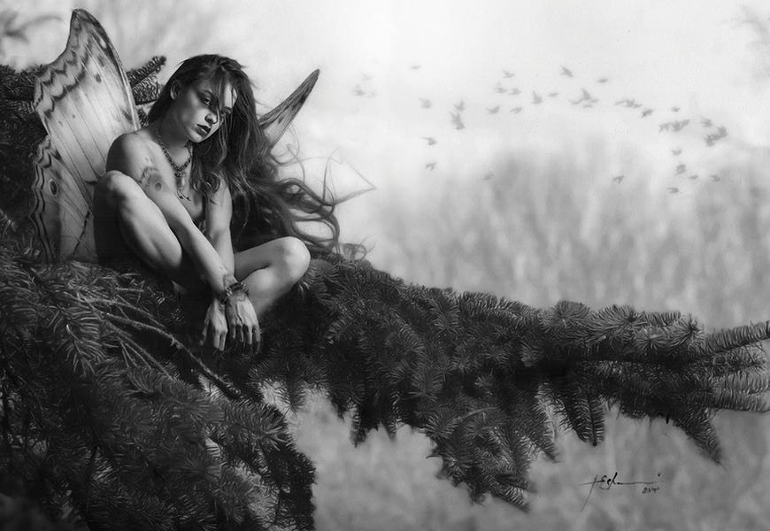 Butterfly Of The Barrens by Jeffrey Echevarria