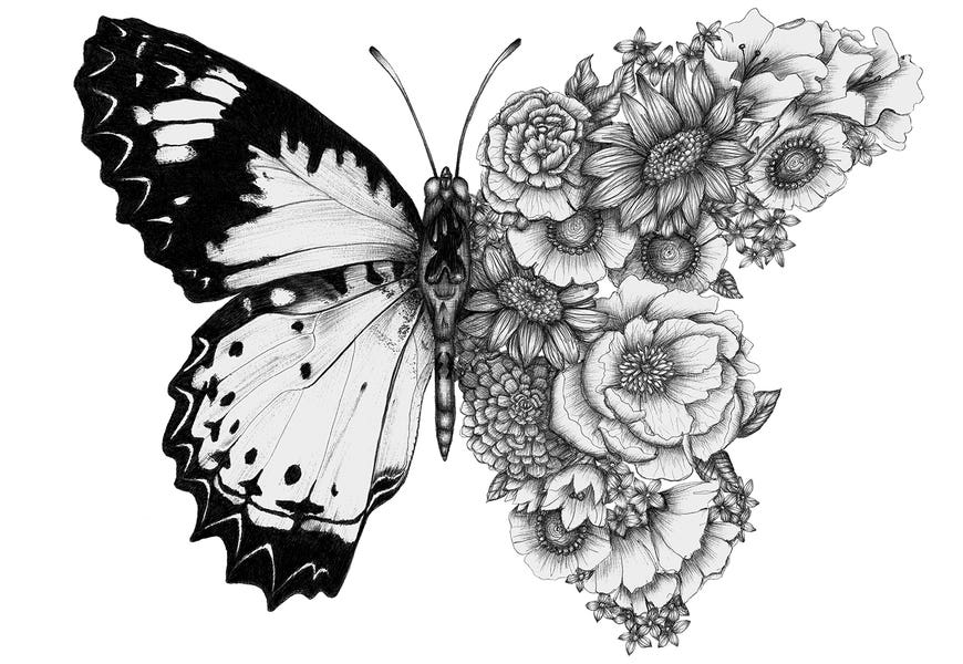 Butterfly In Bloom by Ella Mazur