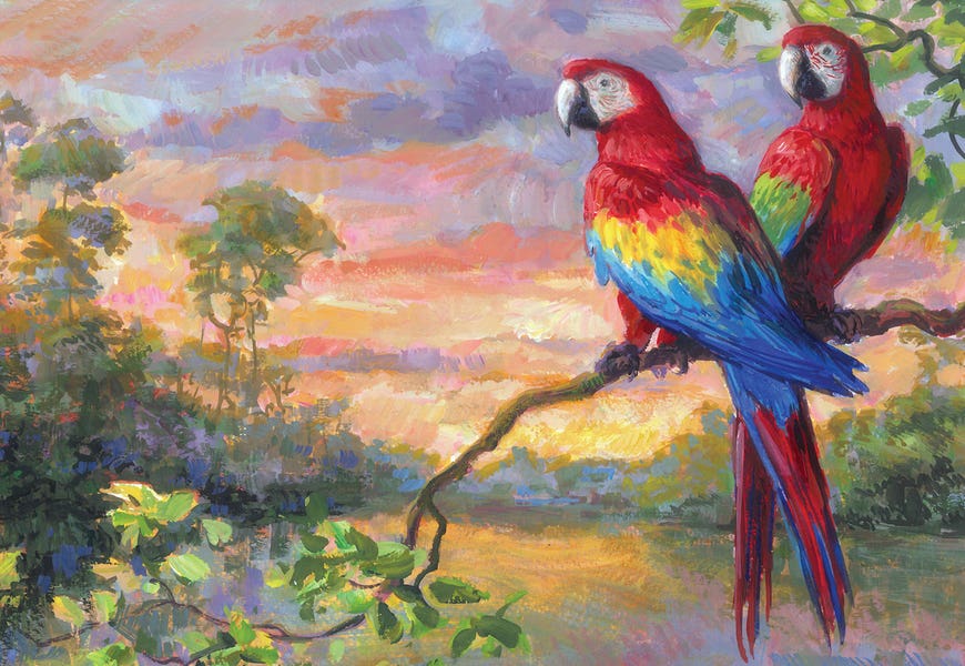 Macaws by Gabriel Hermida