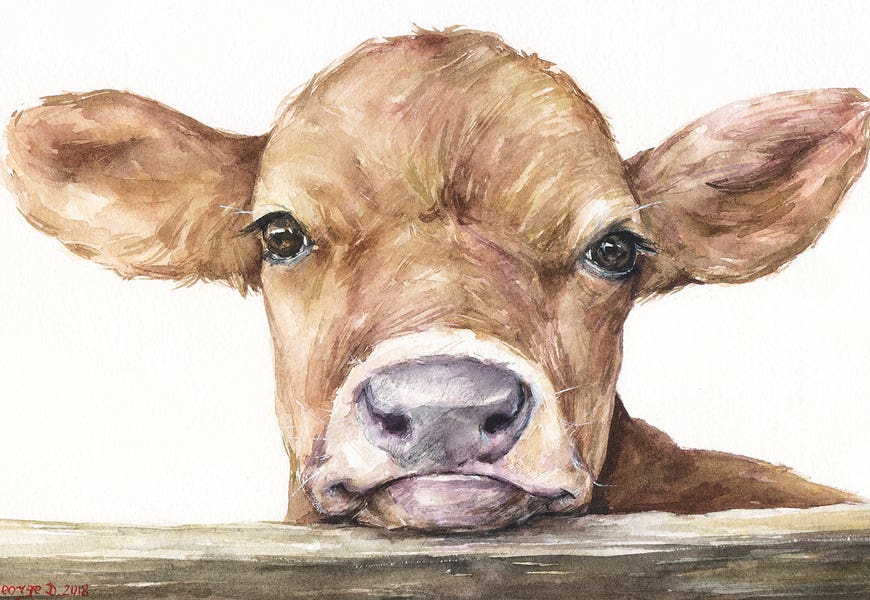 Calf by George Dyachenko