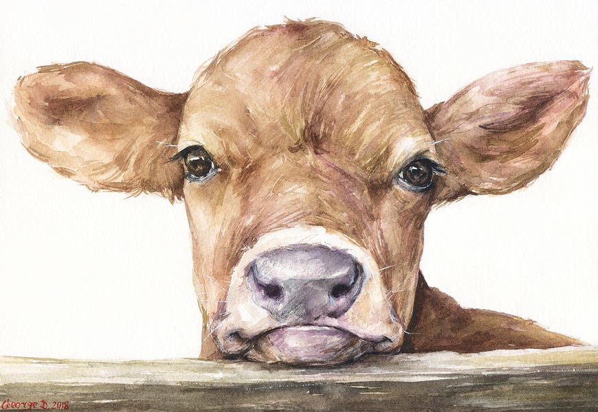 Calf by George Dyachenko