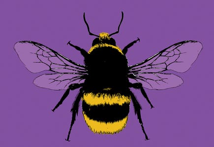 Gary Hogben