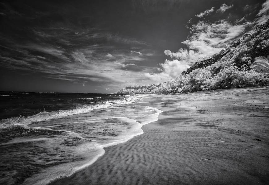 Beach Black & White - Bahia, Brazil by Glauco Meneghelli