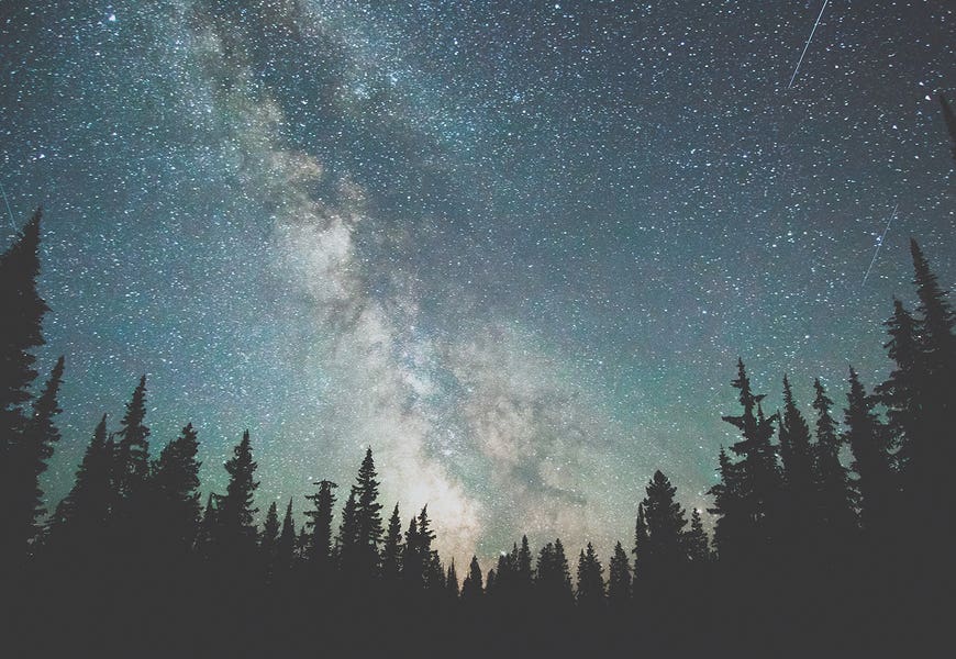 Stars Over The Forest III by Luke Anthony Gram
