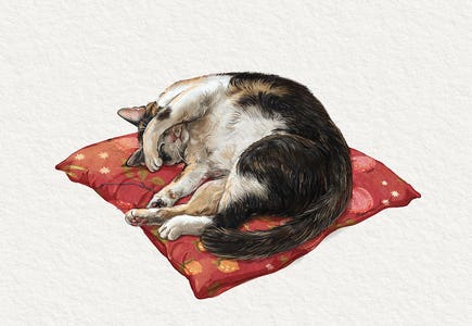 Cats