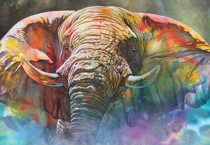 Back Off Large by Graeme Stevenson