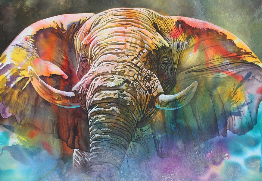 Back Off Large by Graeme Stevenson