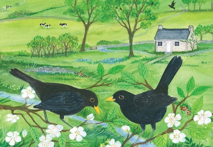 Birds