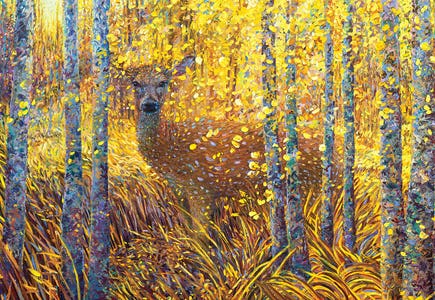 Iris Scott