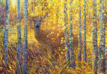 Iris Scott