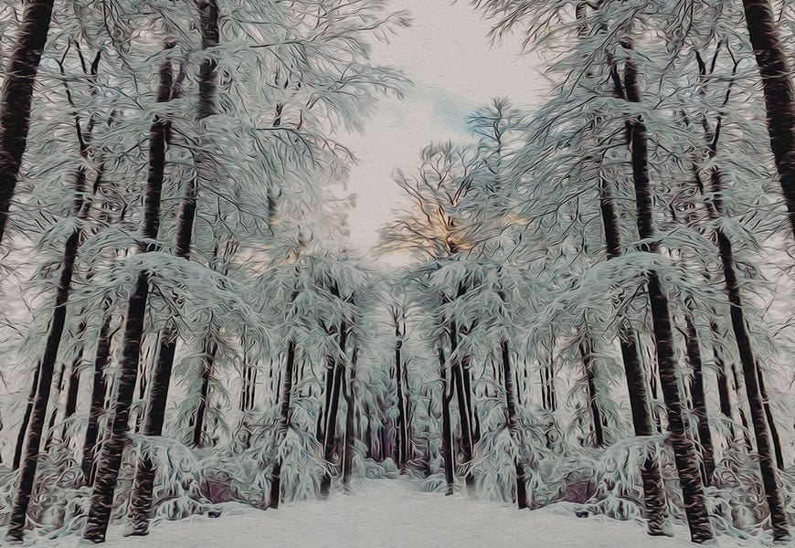 Sunset In The Winter Forest by Ievgeniia Bidiuk