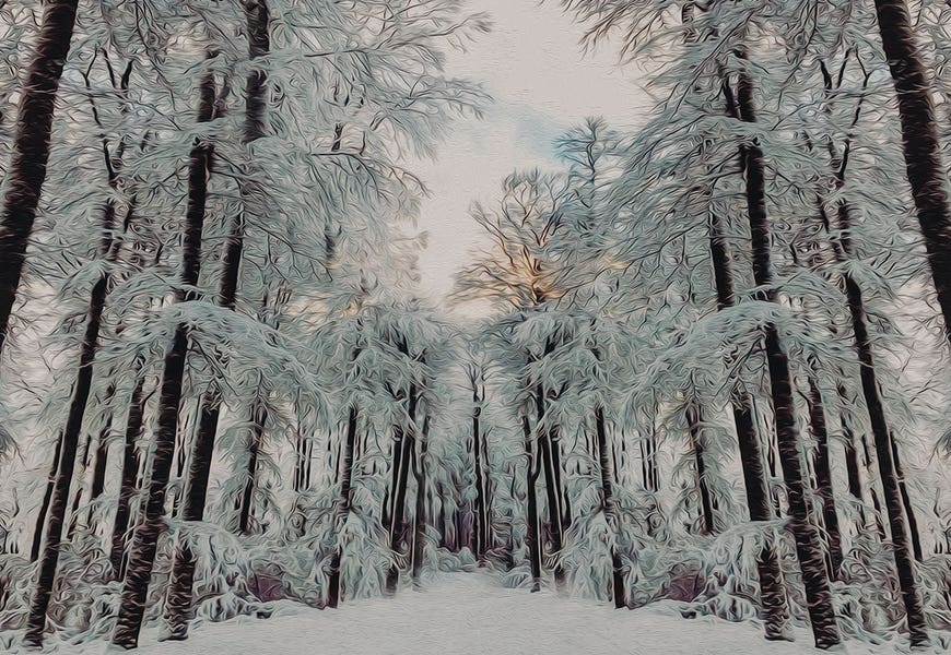 Sunset In The Winter Forest by Ievgeniia Bidiuk