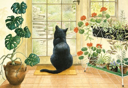 Cats
