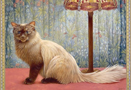 Cats