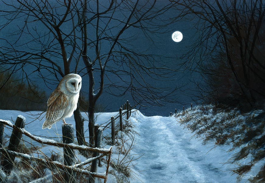 Hunter's Moon - Barn Owl by Jeremy Paul