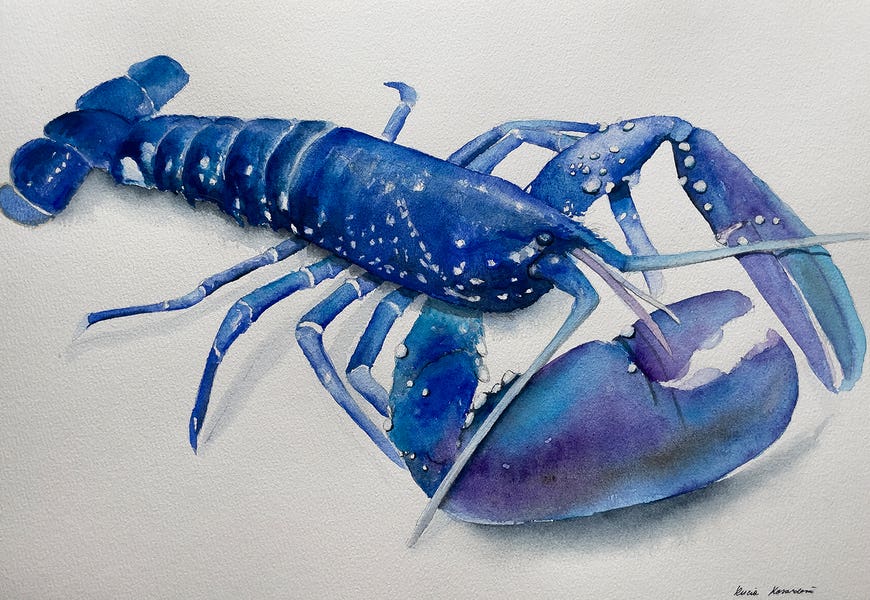 Blue Lobster by Lucia Kasardova