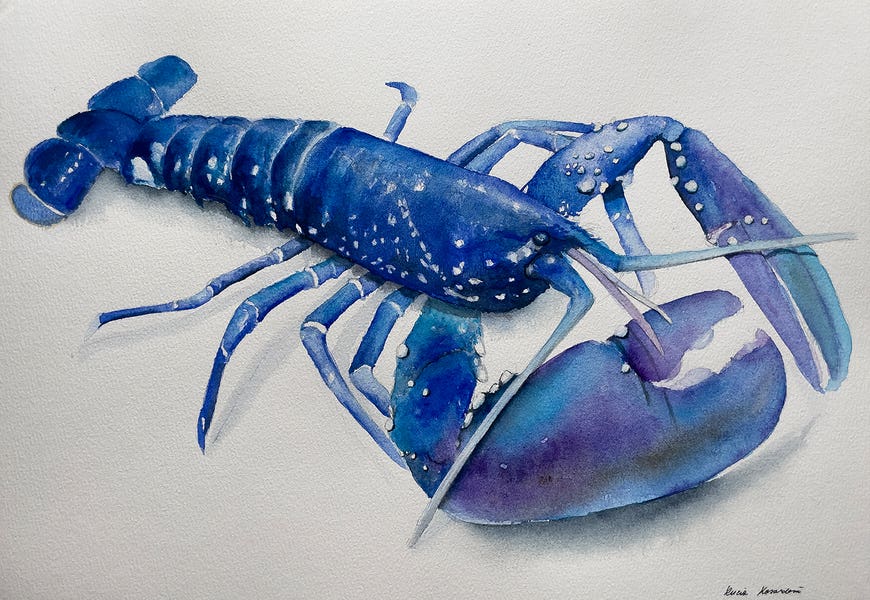 Blue Lobster by Lucia Kasardova