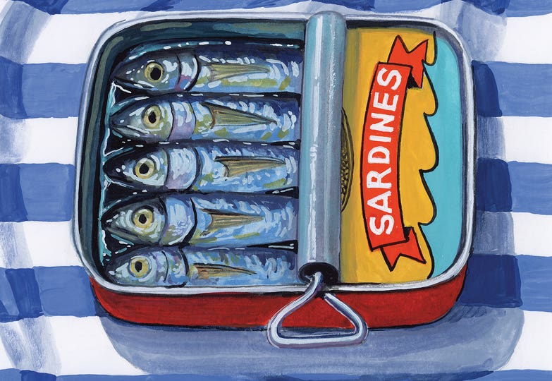 Trendsetter (Trendy Decor) - CLP