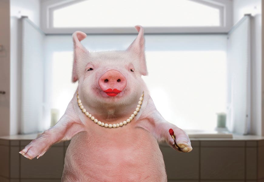 Lipstick On A Pig by Lund Roeser