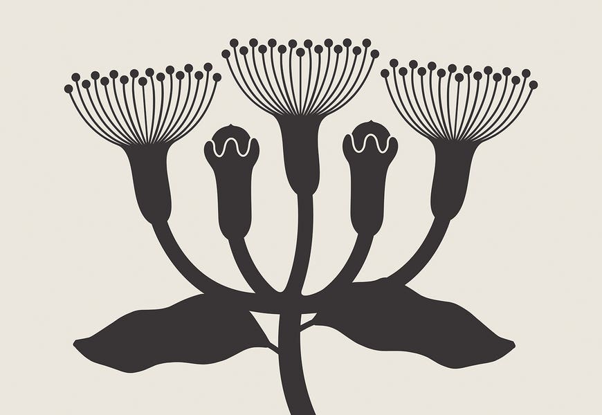 Plant Minimal by Little Dean