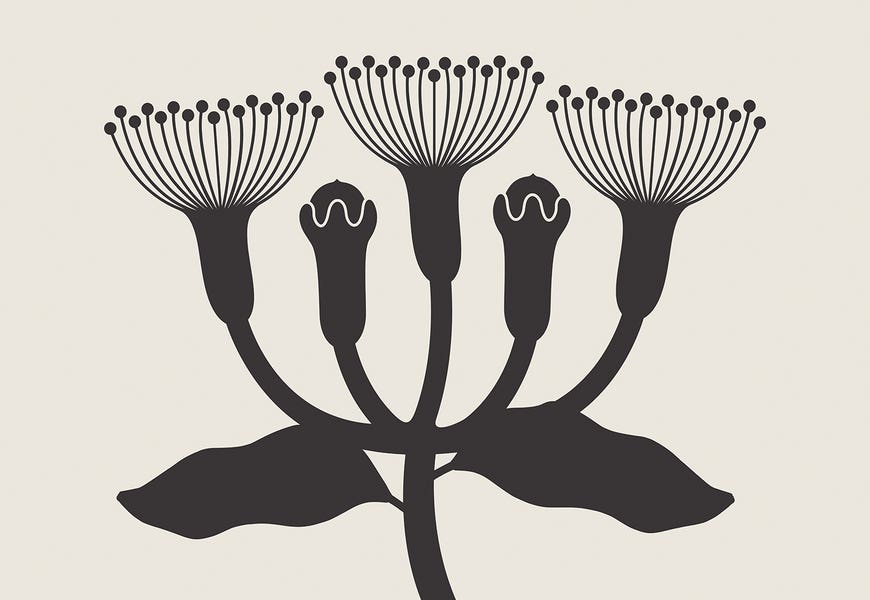Plant Minimal by Little Dean 
