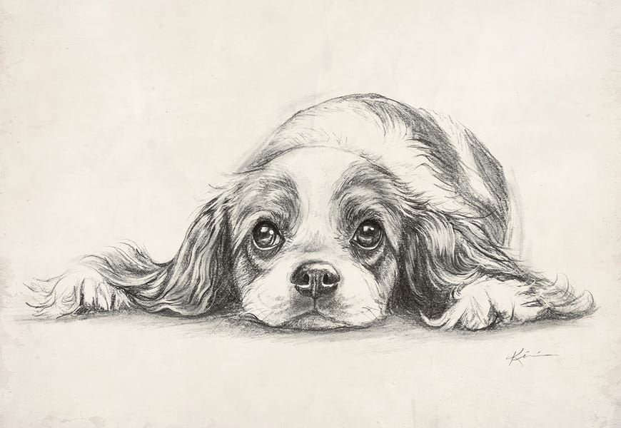 King Charles Cavalier Spaniel by Lindsay Kivi
