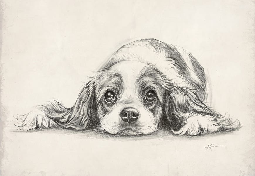 King Charles Cavalier Spaniel by Lindsay Kivi
