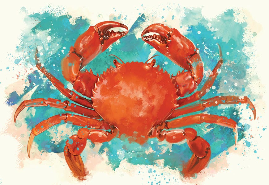 Crab by Louise Goalby