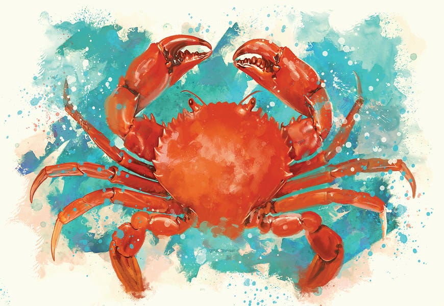 Crab by Louise Goalby
