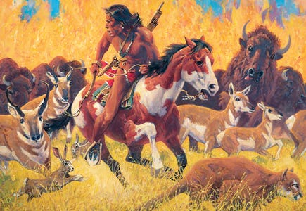 Horses