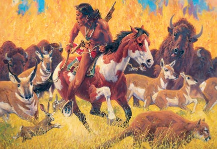 Horses