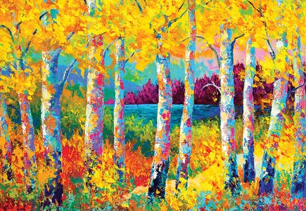 Forests