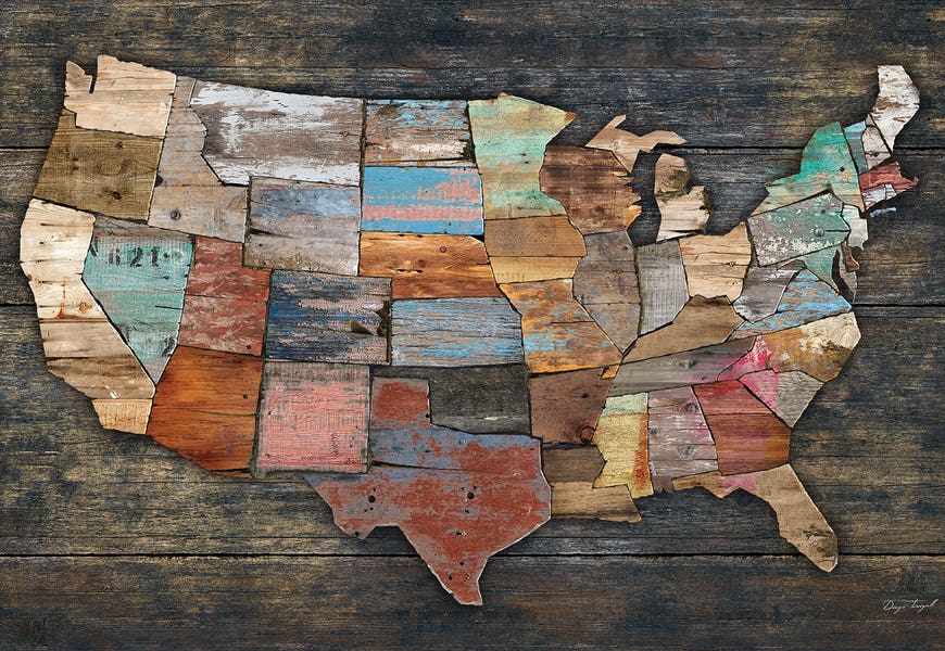 USA Map I by Diego Tirigall