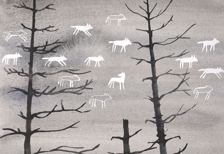 A Pack Of Wolves by Nynke Kuipers