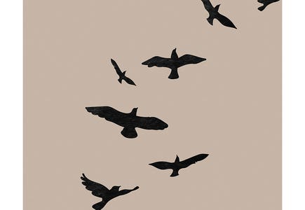 Minimalism