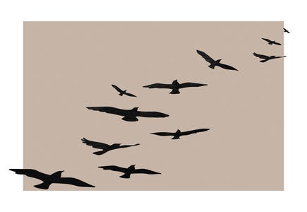 Minimalism