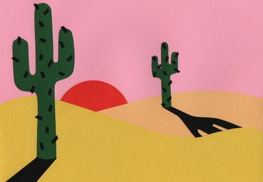 Two Cacti In The Desert Sun by Rosi Feist 