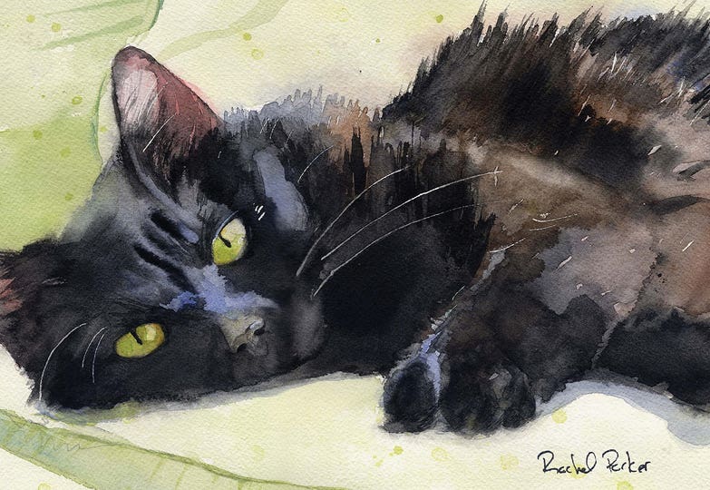 10 Cat Art Ideas for Feline Fanatics